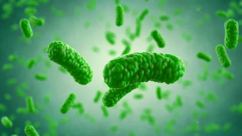 Bacteria Colony Visualization. Perfect for Medical Documentaries Видео 197560743