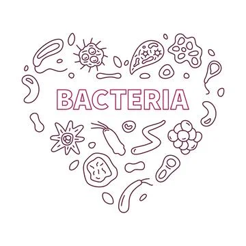 Bacteria concept outline vector heart shaped banner with microbes linear sign Stock Illustration