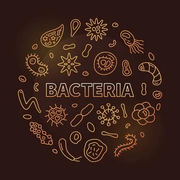 Bacteria concept vector golden round banner with bacterium thin line symbol.. Stock Illustration