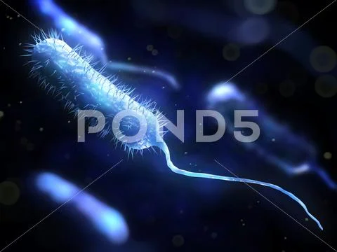 Bacteria, conceptual artwork Stock Illustration