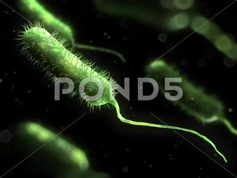 Bacteria, conceptual artwork Stock Illustration