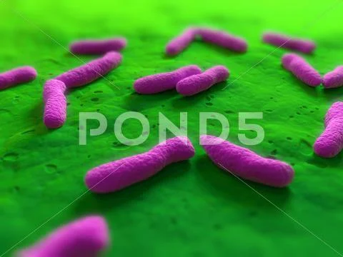 Bacteria, conceptual artwork Stock Illustration