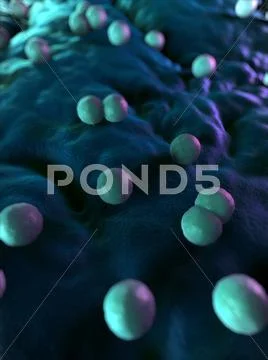 Bacteria, conceptual artwork Stock Illustration
