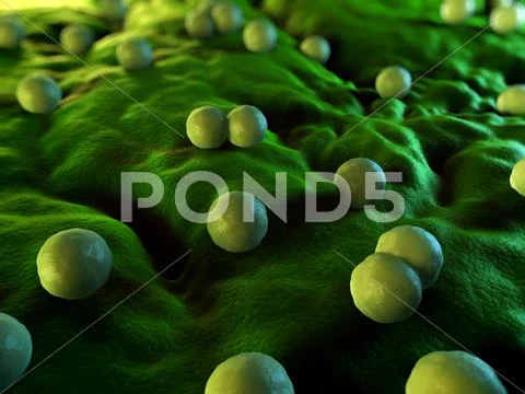 Bacteria, conceptual artwork Stock Illustration