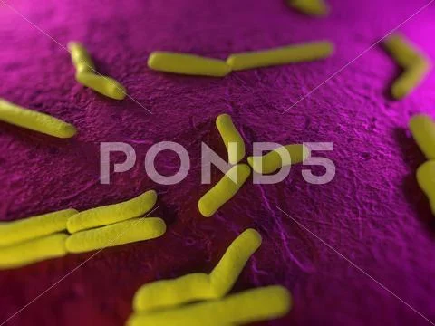 Bacteria, conceptual artwork Stock Illustration