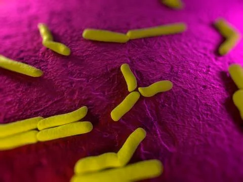 Bacteria, conceptual artwork Stock Illustration