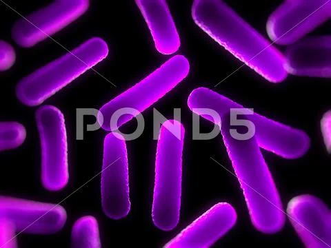 Bacteria, conceptual artwork Stock Illustration