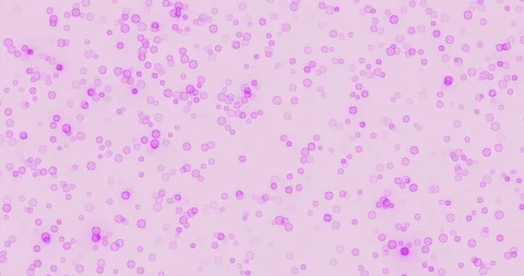 Bacteria, Corona virus and cell infecting, bubble particle, human antibody Stock Footage 265480164