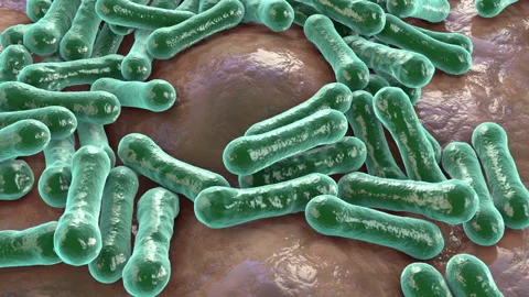 Bacteria Corynebacterium diphtheriae, animation Stock Footage 154849296