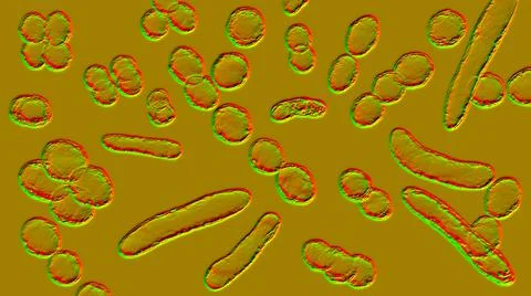 Bacteria of different shapes イラスト素材