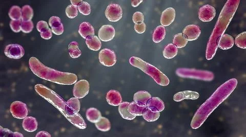 Bacteria of different shapes Illustrazione stock