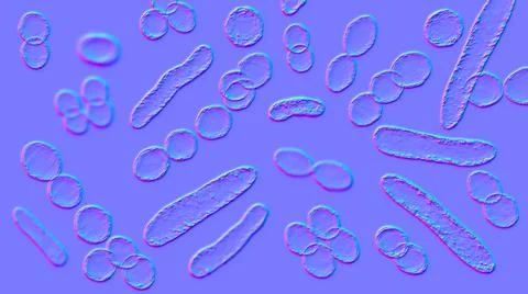 Bacteria of different shapes Stock Illustration