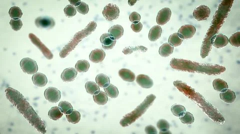 Bacteria of different shapes イラスト素材