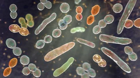 Bacteria of different shapes イラスト素材