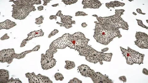 Bacteria of different shapes, rod-shaped bacteria and cocci, human microbiome Illustrazione stock