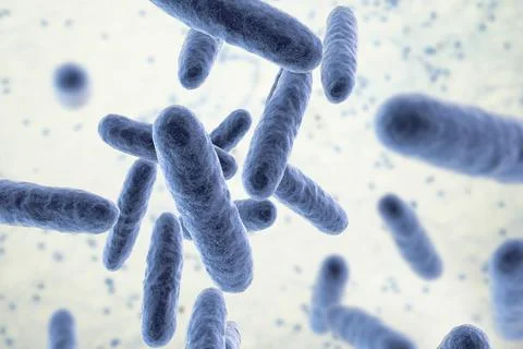 Bacteria Eikenella, illustration Stock Illustration