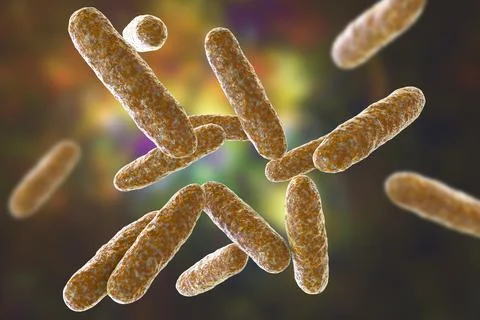 Bacteria Eikenella, illustration Stock Illustration