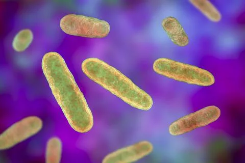 Bacteria Eikenella, illustration Stock Illustration