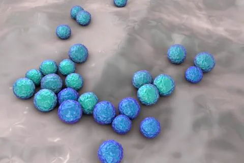 Bacteria Enterococcus, illustration Stock Illustration