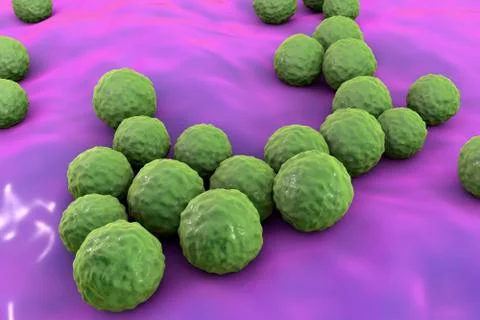 Bacteria Enterococcus, illustration Stock Illustration