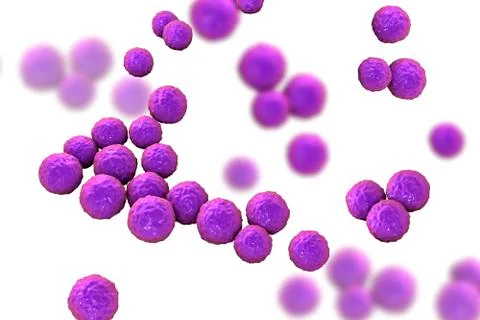 Bacteria Enterococcus, illustration Stock Illustration