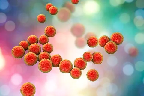 Bacteria Enterococcus, illustration Stock Illustration