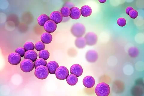 Bacteria Enterococcus, illustration Stock Illustration