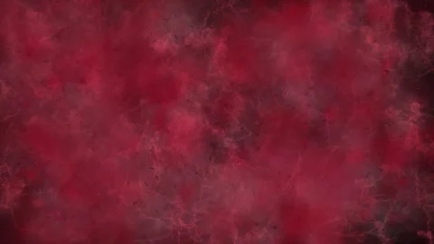 Bacteria Flowing in Bloodstream Under Microscope Video stock 306304396