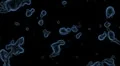 Bacteria HD Footage