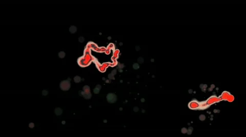 Bacteria Germ Virus Stock Footage