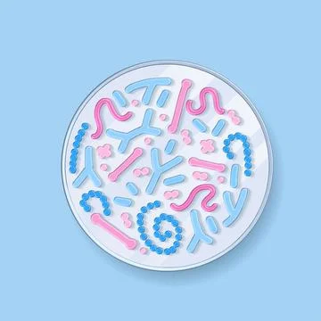 Bacteria gram. 3d render top view petri dishe with different colorful Stock Illustration