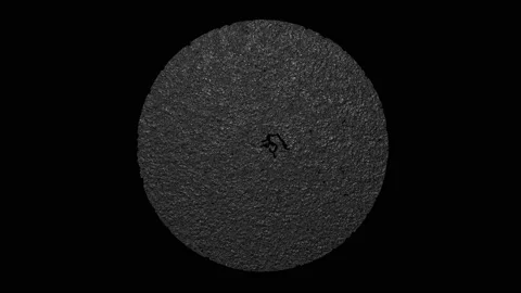 Bacteria growth process Stock Footage 85931296