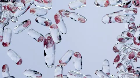 Bacteria. Gut microbiome, intestinal digestion and the immune system. Probiotics 스톡 동영상 257520280