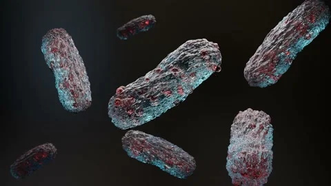 Bacteria. Gut microbiome, microbiome, probiotics, Gram-negative, Stock Footage 219253281