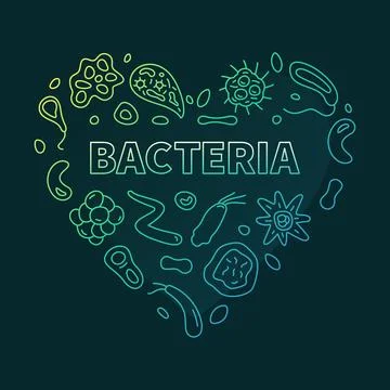Bacteria Heart concept vector green heart-shaped banner with bacterium thin.. Stock Illustration