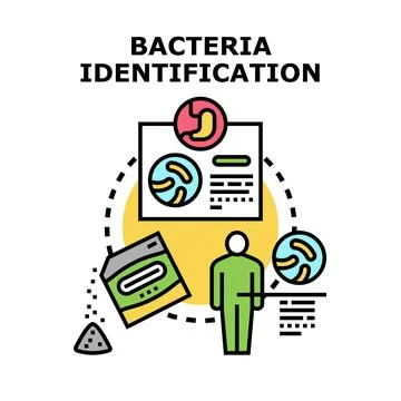 Bacteria identification process for analysis and diagnosis Stock Illustration