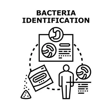 Bacteria identification process for analysis and diagnosis Stock Illustration