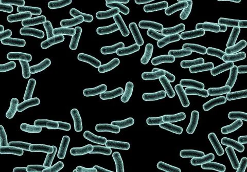 Bacteria Stock Illustration