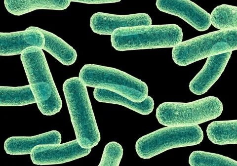 Bacteria Stock Illustration