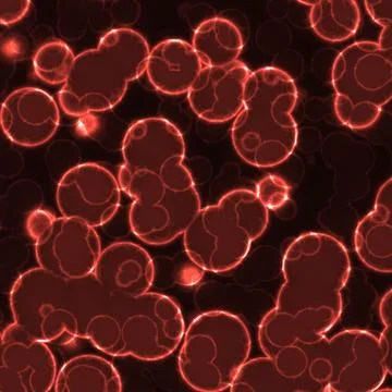 Bacteria Stock Illustration