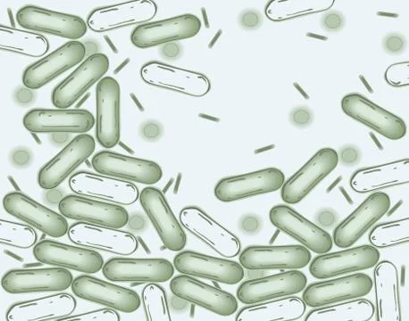 Bacteria Stock Illustration