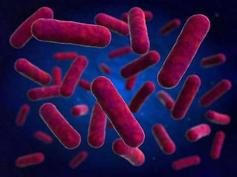 Bacteria Stock Illustration