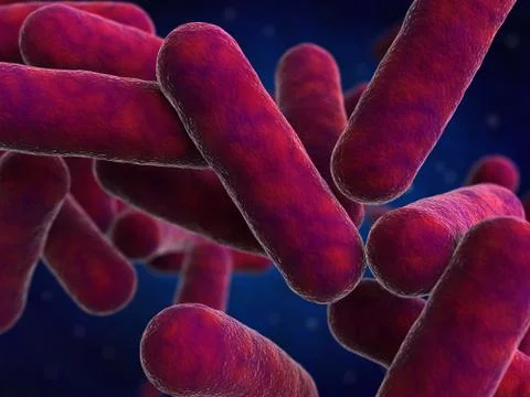 Bacteria Stock Illustration