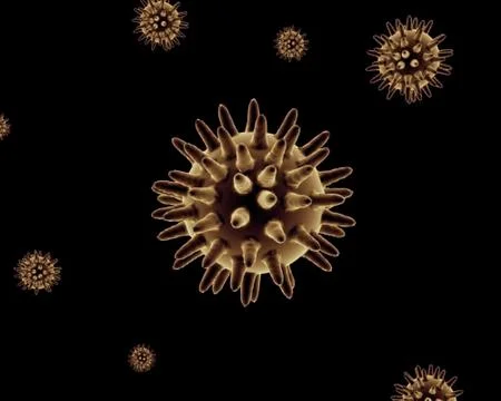 Bacteria Stock Illustration