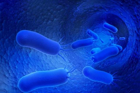 Bacteria Stock Illustration