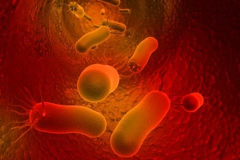 Bacteria Stock Illustration