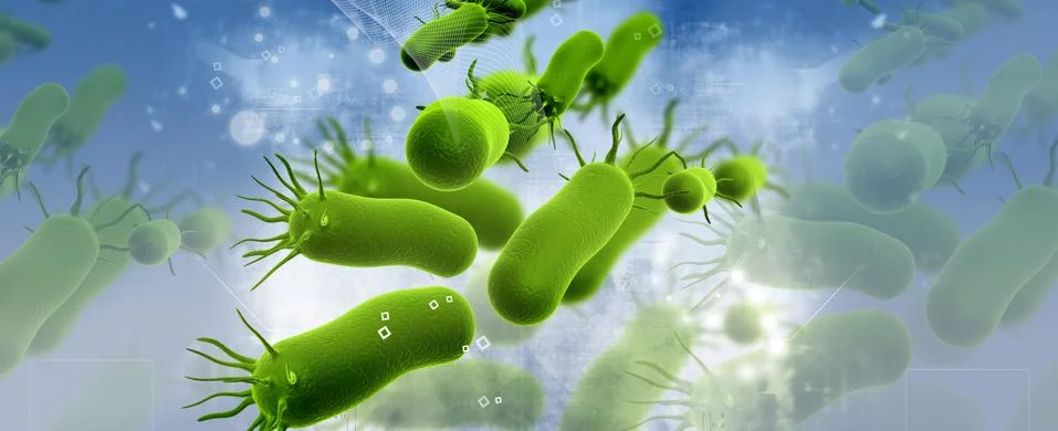 Bacteria Stock Illustration