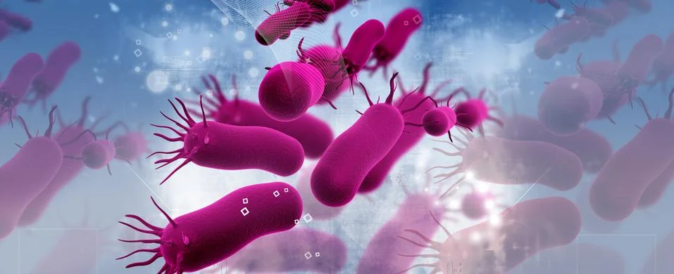 Bacteria Stock Illustration