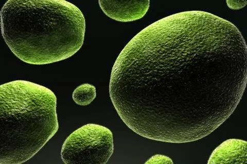 Bacteria. Stock Illustration
