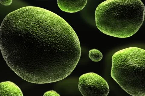 Bacteria Stock Illustration
